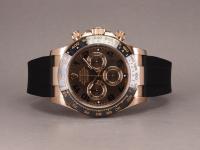 AP2026-02-24 - P2240038.JPG